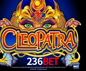 236bet Cassino - 80+ Mesas ao Vivo
