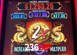 236bet Brasília - VIP Program