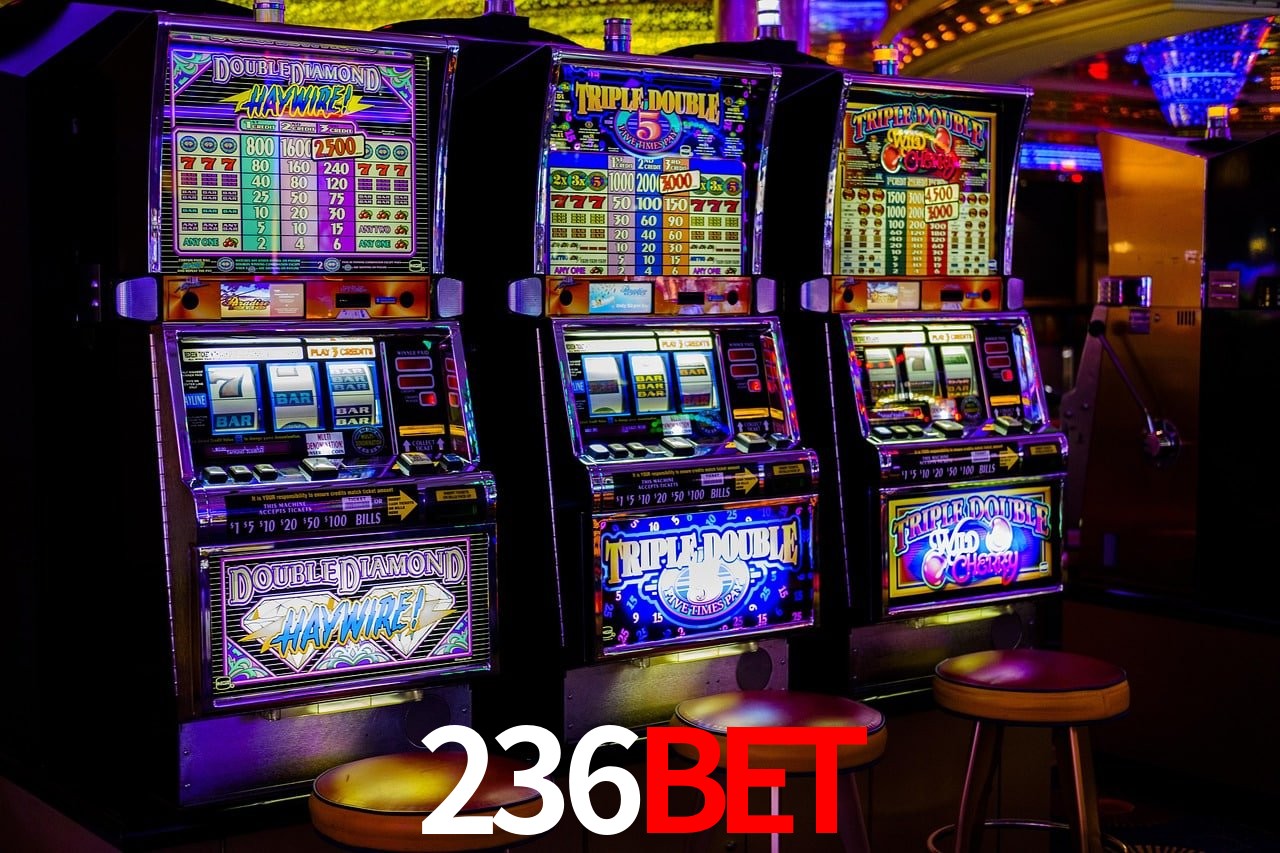 Recursos de Bônus 236bet