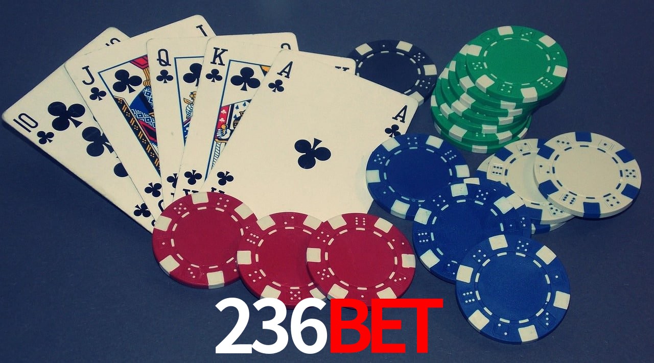 Live Casino 236bet
