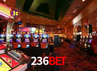 236bet Salvador - Bonus Stats